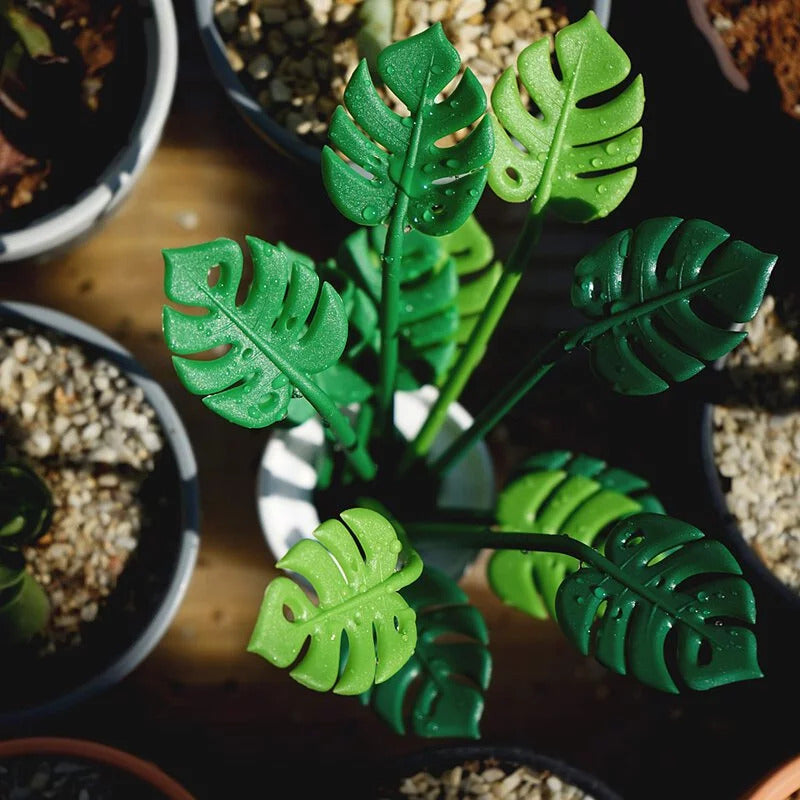 泰國 QUALY 熱帶派對-點心組