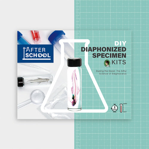 賽先生科學工廠 After School - 透明魚標本製作套組（自）