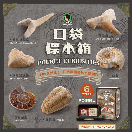 款式圖-盒抽隨機