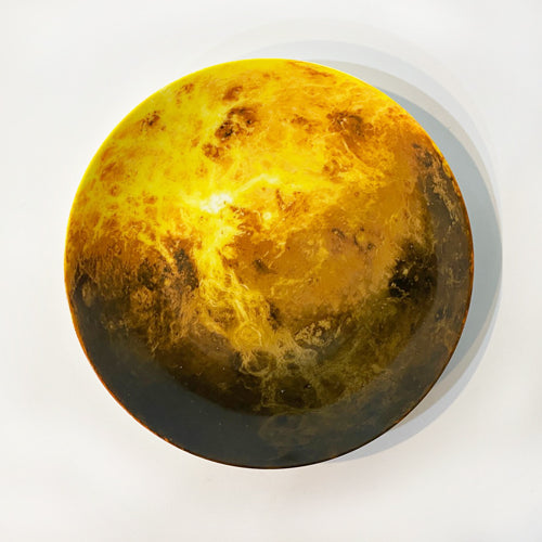 款式圖-金星 9公分小豆皿