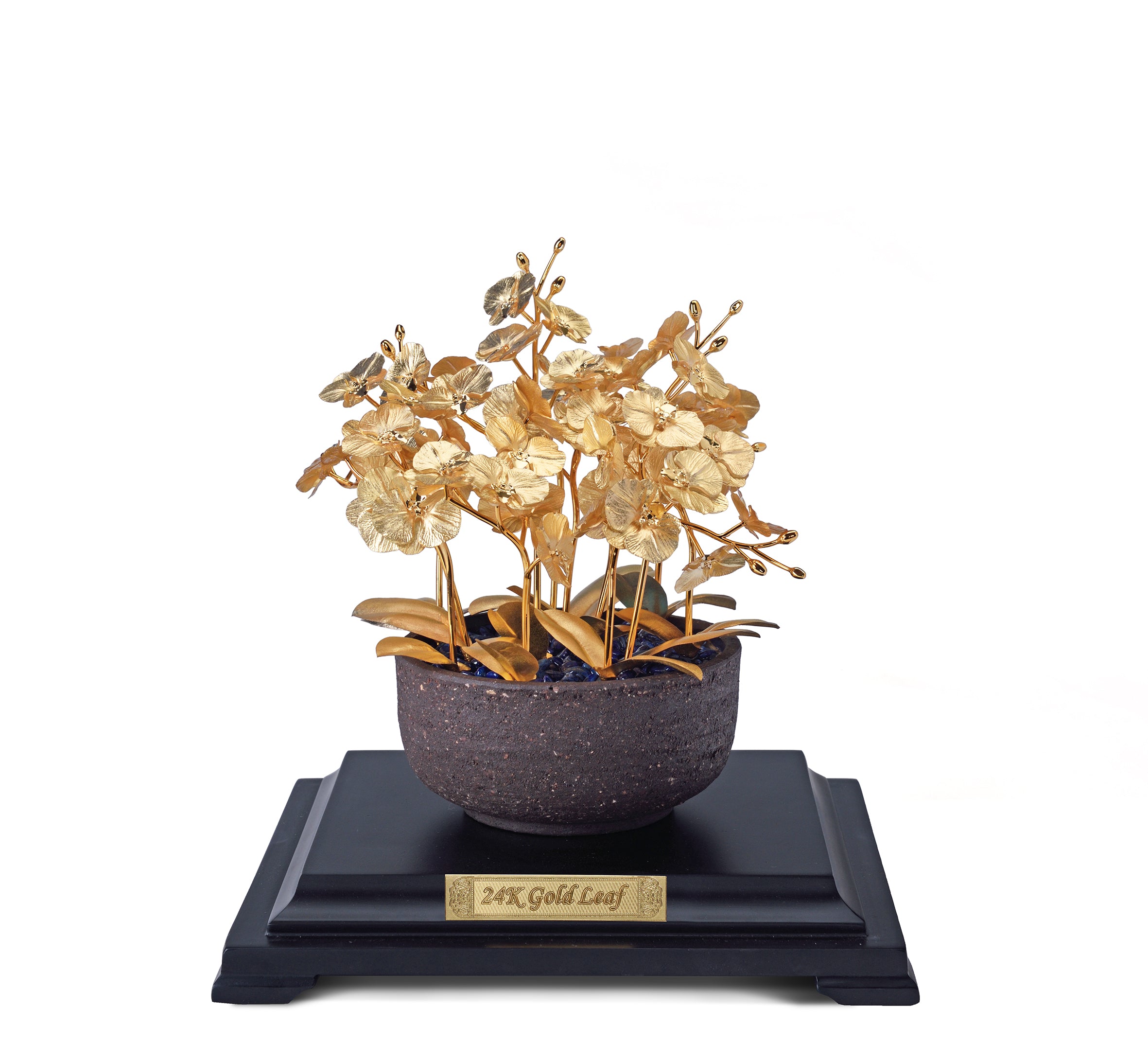 【可客製】凱馨 金箔蝴蝶蘭 (12枝裝)