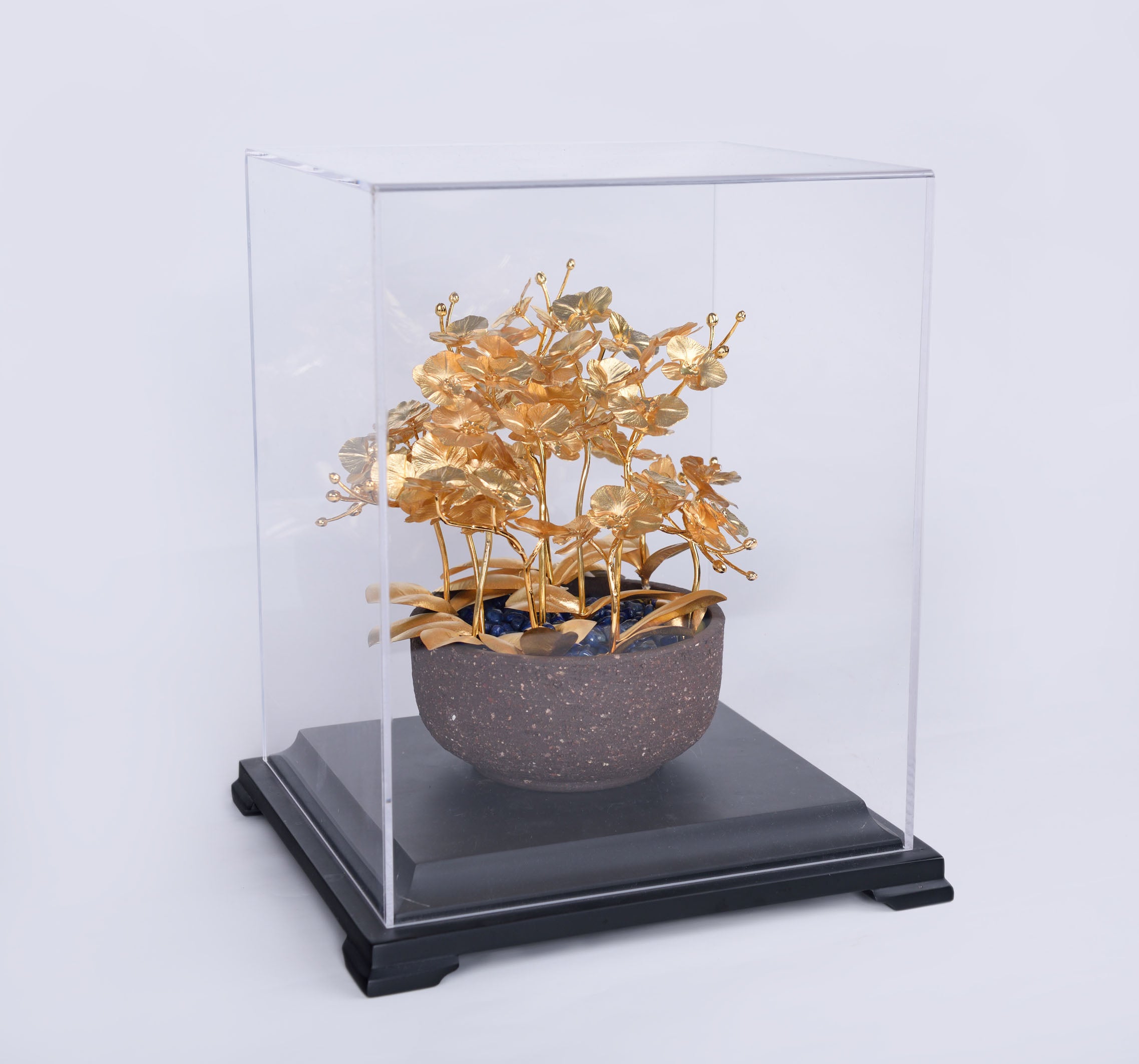 【可客製】凱馨 金箔蝴蝶蘭 (12枝裝)