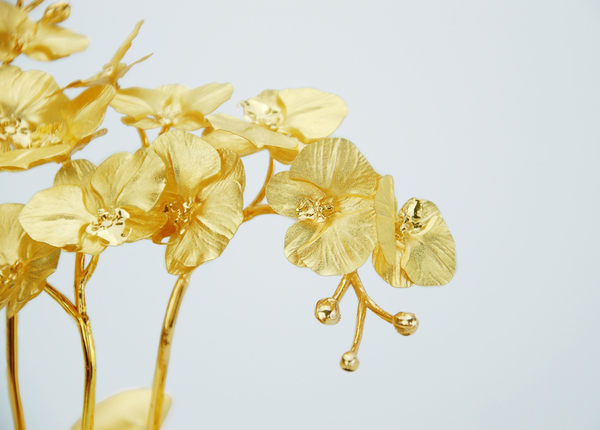 【可客製】凱馨 金箔蝴蝶蘭 (12枝裝)