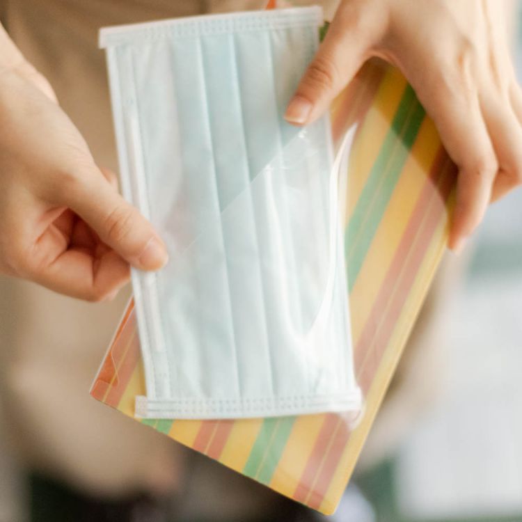 來好 LAI HAO 雙層口罩收納夾 (後現代茄芷)