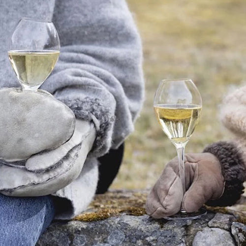 瑞典 Sagaform saga 香檳杯2入組