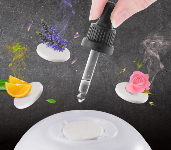 Bone 逗扣香氛燈