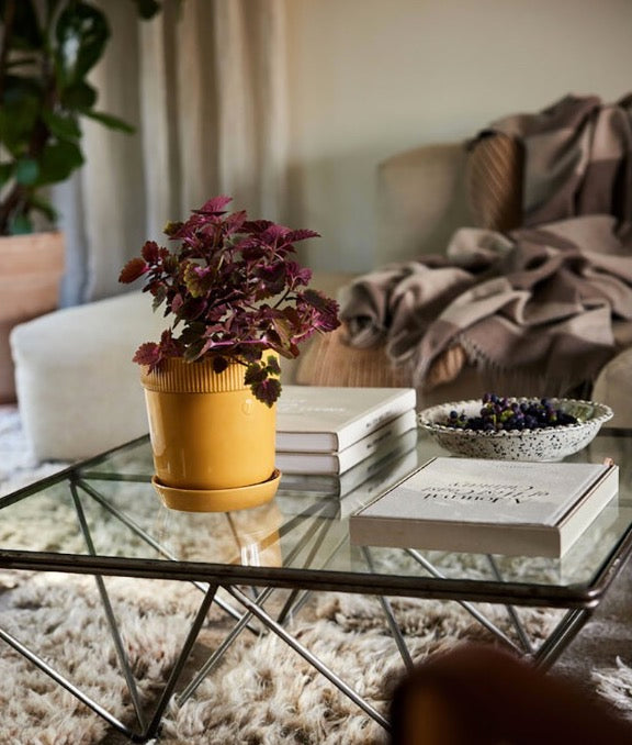 瑞典 sagaform Elise 花盆-三色 小型