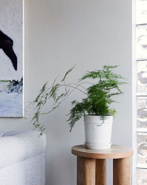 瑞典 sagaform Elise 花盆-三色 小型