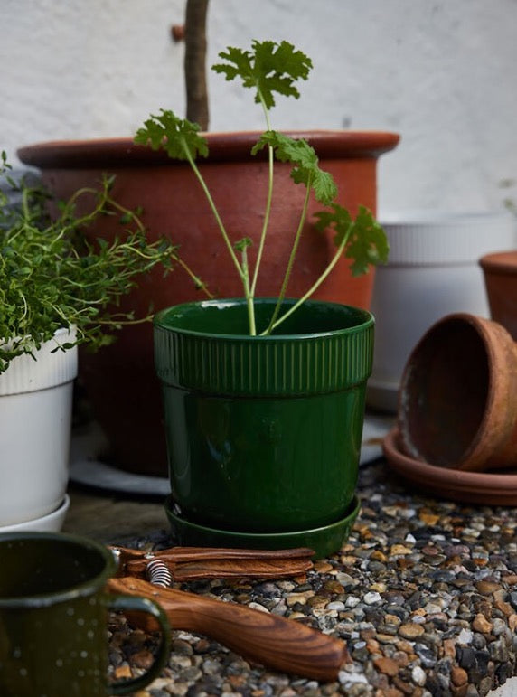 瑞典 sagaform Elise 花盆-三色 小型