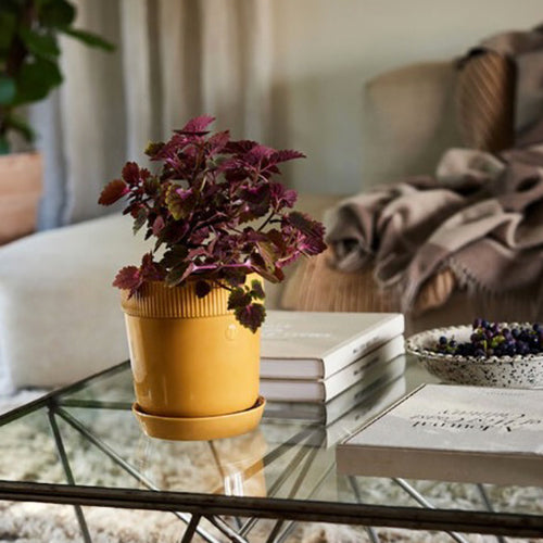 瑞典 sagaform Elise 花盆-三色 小型