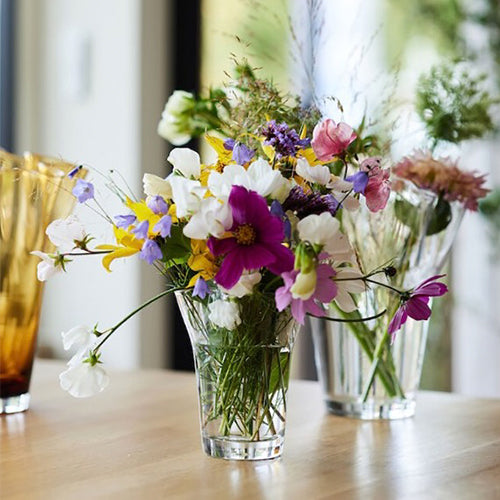 瑞典 sagaform Viva 透明花器-Small