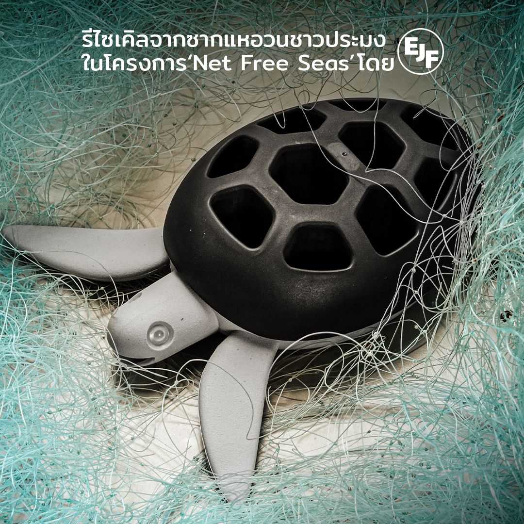 QUALY｜拯救海龜-牙刷架