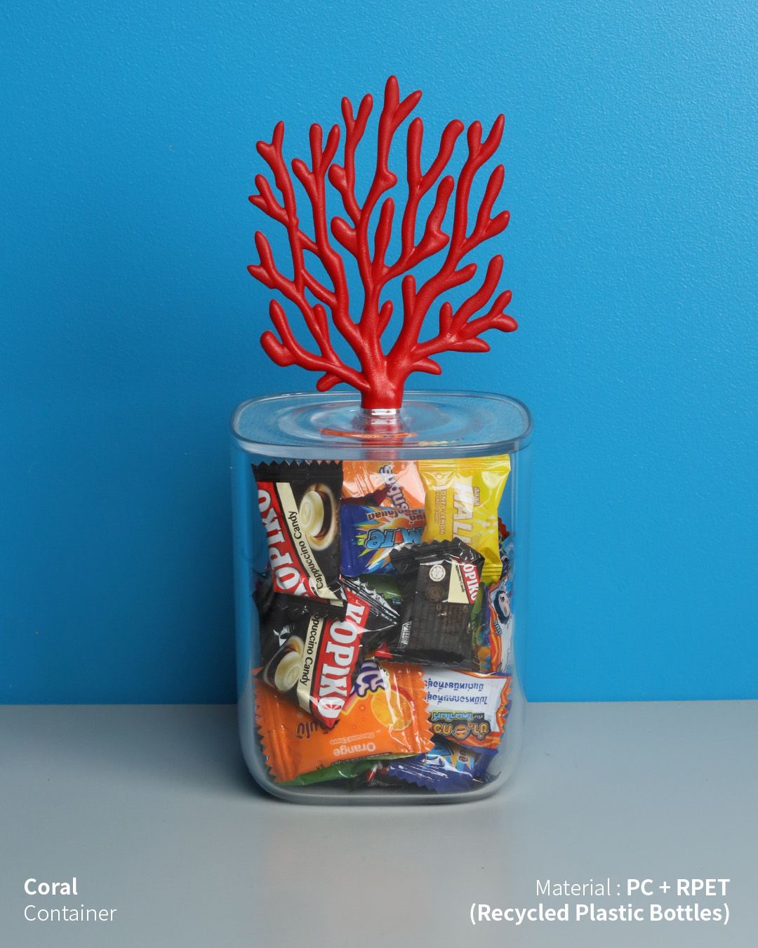 泰國 QUALY 珊瑚收納罐