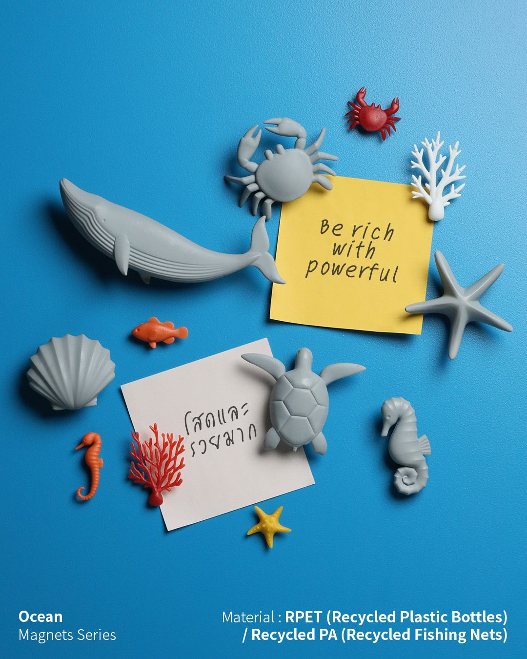 泰國 QUALY 熱帶海洋磁鐵