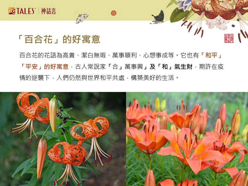 TALES 神話言 郎世寧 仙萼長春精緻骨瓷 百合茶具組(附提袋)