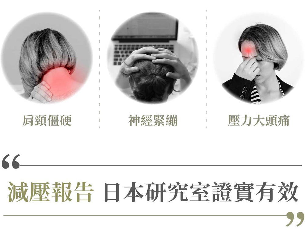 Lourdes 頭頸紓壓兩用按摩器 AX-HXL352