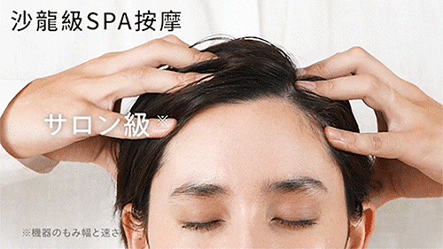 Lourdes 頭頸紓壓兩用按摩器 AX-HXL352