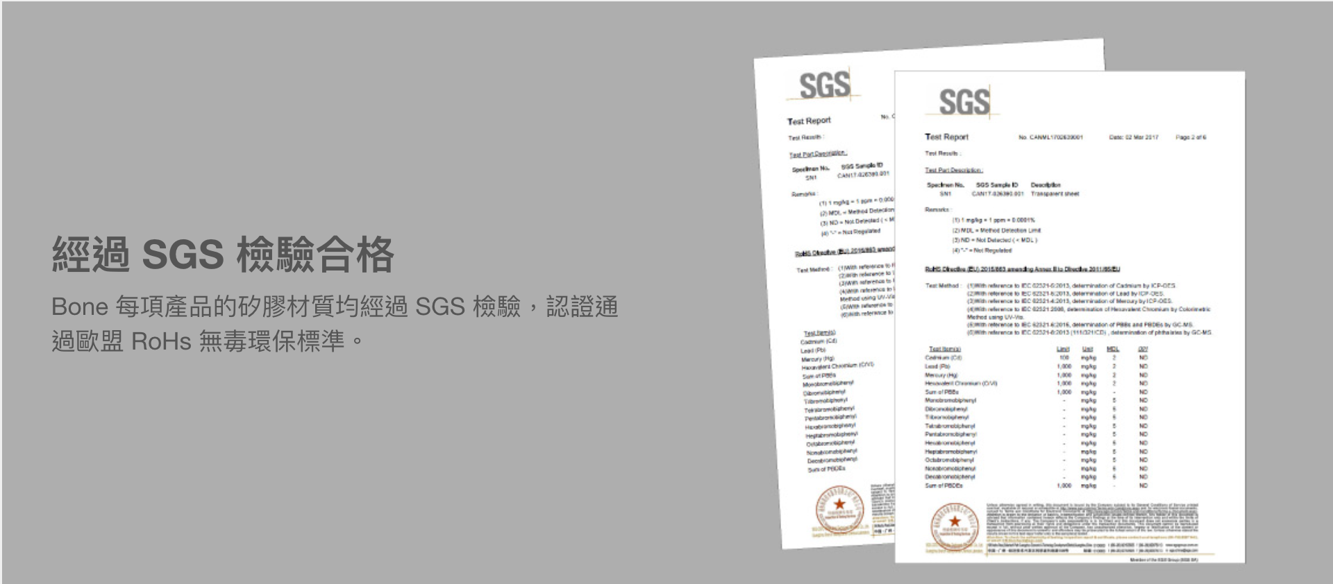 【Bone】Bike Tie Pro 5 單車龍頭手機綁第五代