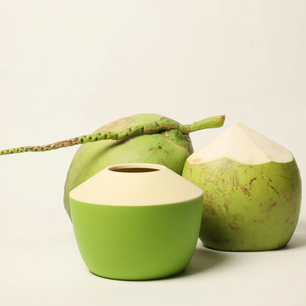 QUALY｜椰子-捲筒衛生紙盒