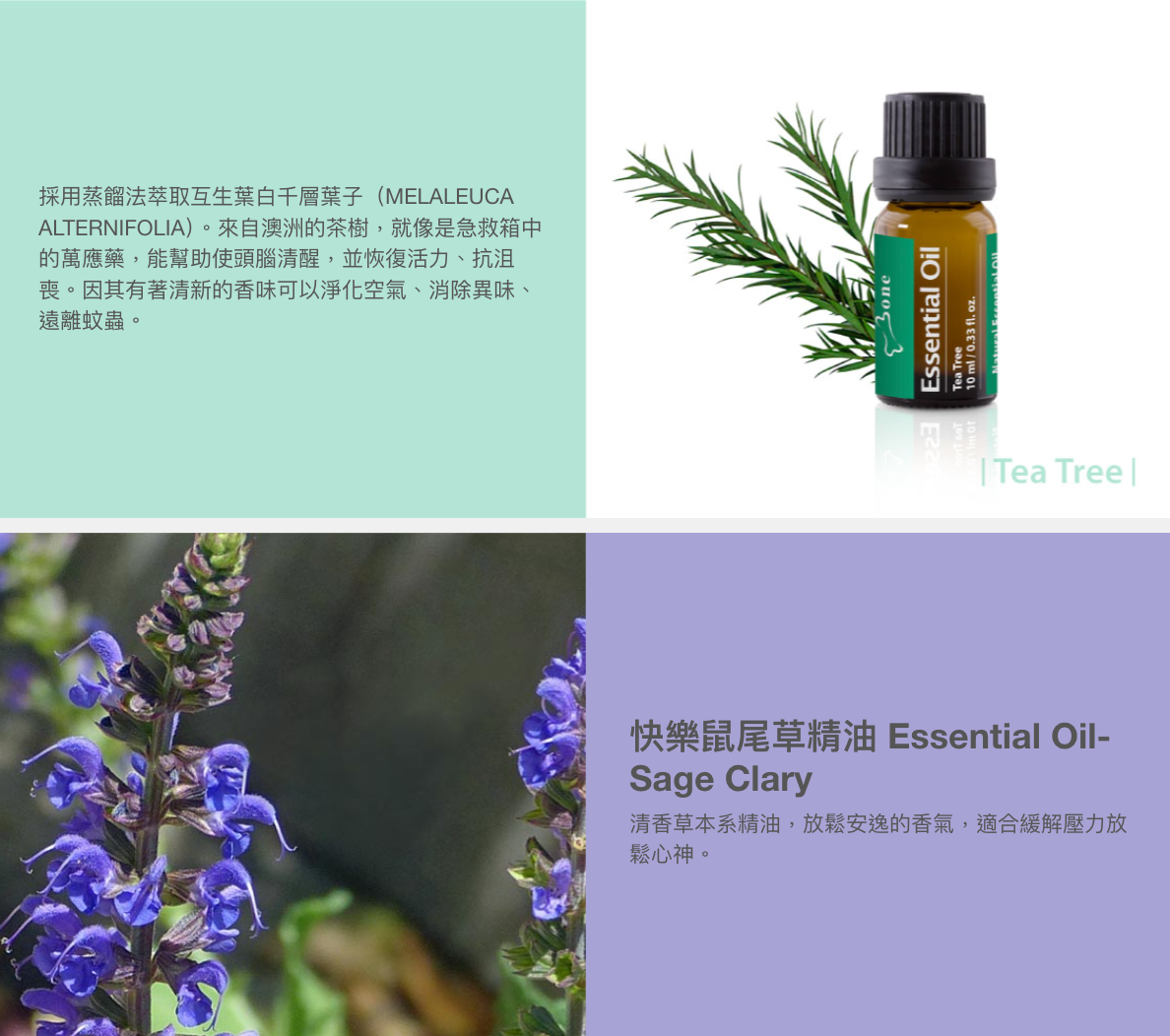 【Bone】二代車用擴香夾 精油禮盒組-派提鴨