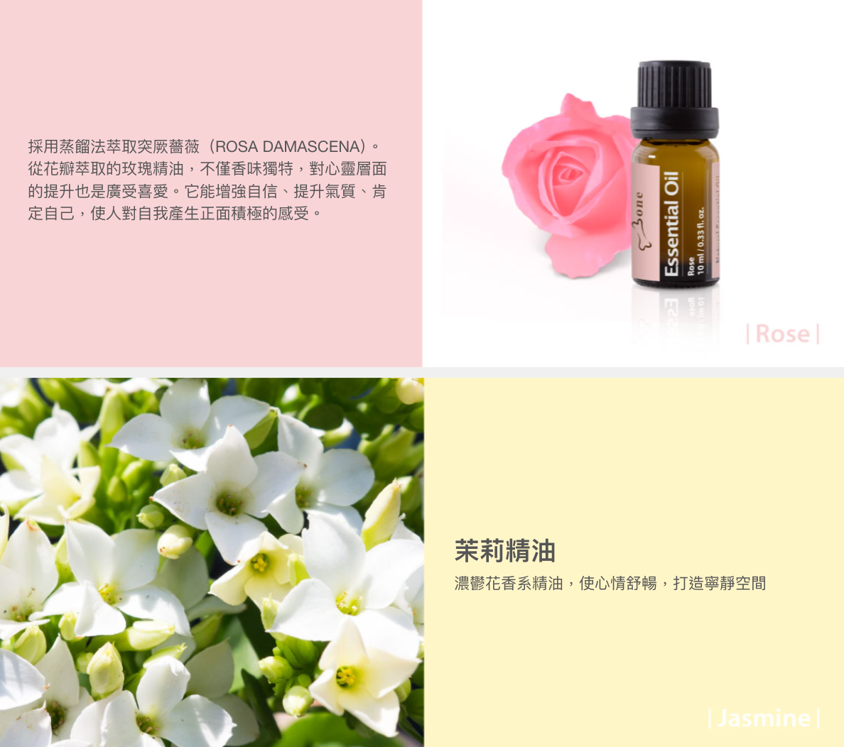 【Bone】二代車用擴香夾 精油禮盒組-企鵝小丸