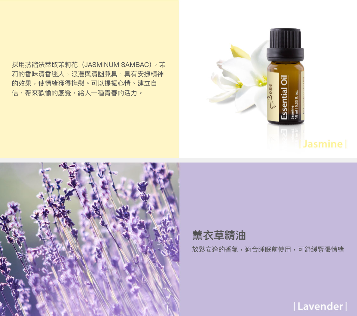 【Bone】二代車用擴香夾 精油禮盒組-企鵝小丸