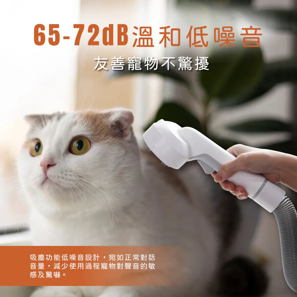 【KINYO】商務裝前開行李箱20吋(KLG-1990)