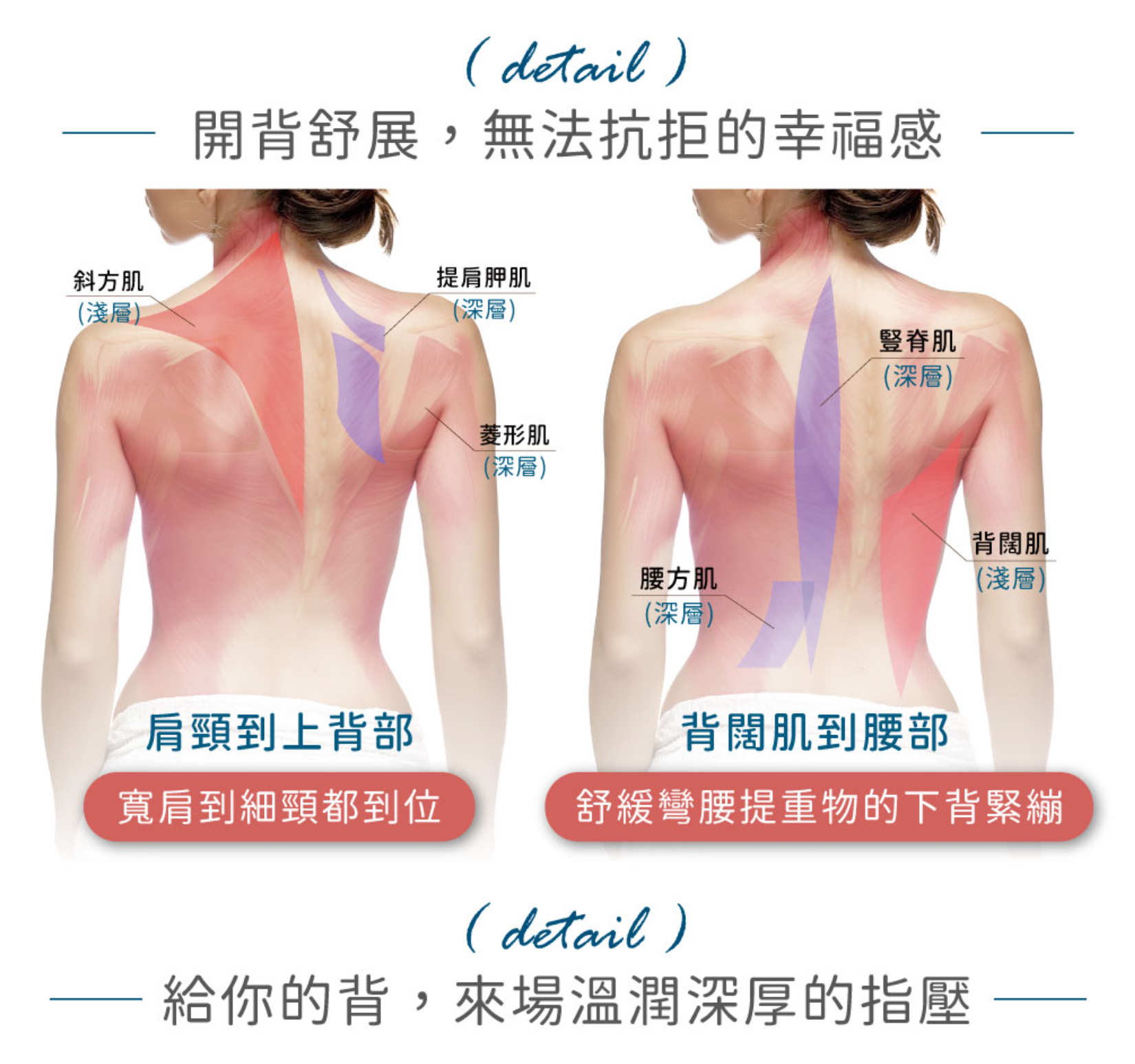 Lourdes 無線舒展溫感按摩背墊/ 按摩墊 AX-HP210