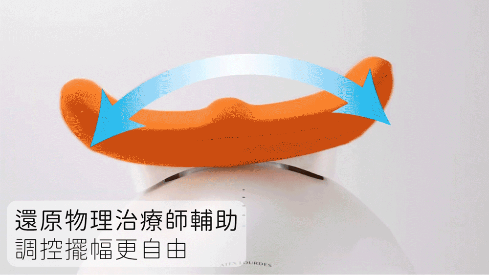 LOURDES 懶懶舒脊律動搖擺機 / 律動機 AX-FY919