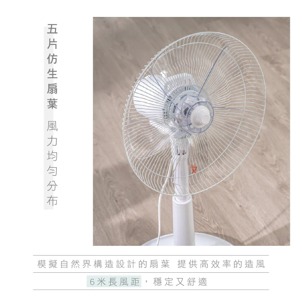 【KINYO】旋鈕直立升降電風扇