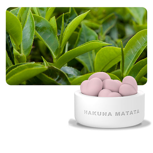 家居生活雜貨舖 愛心擴香精油組