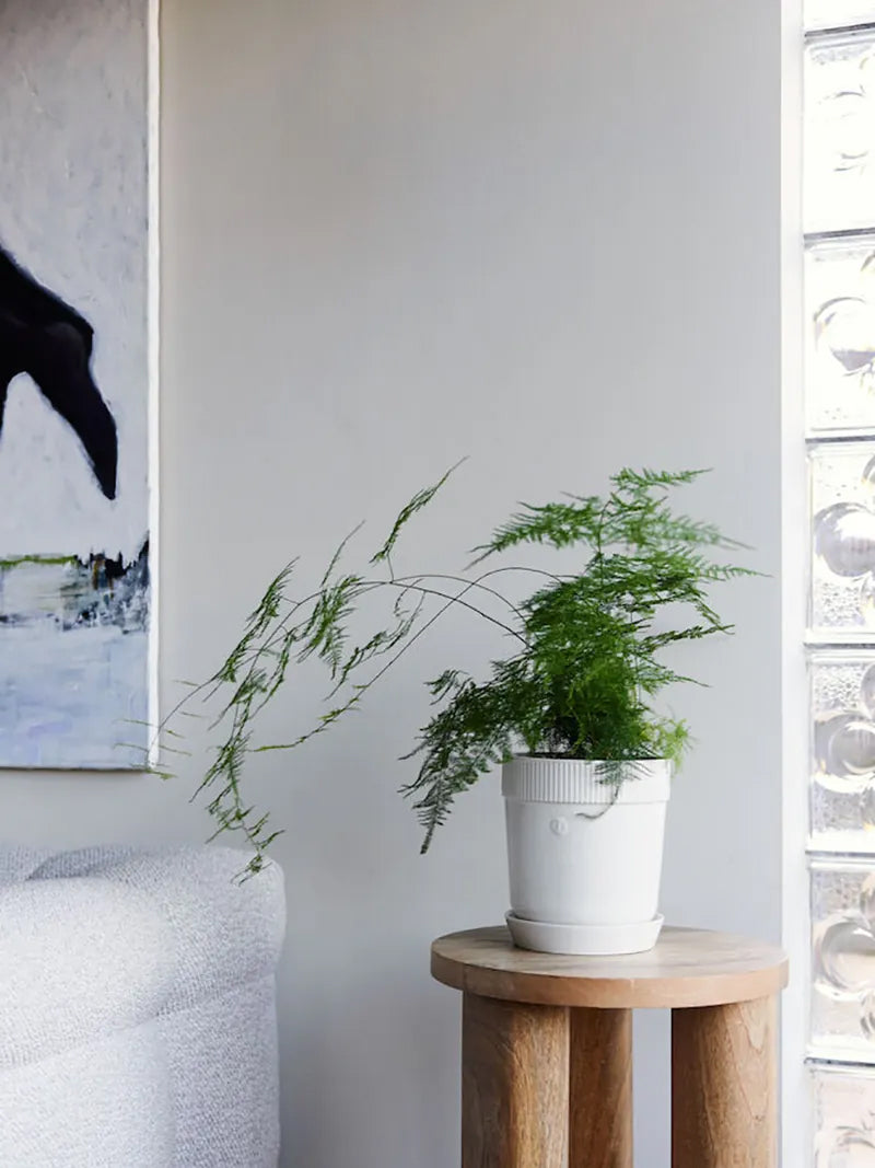 瑞典 sagaform Elise 花盆-三色 中型