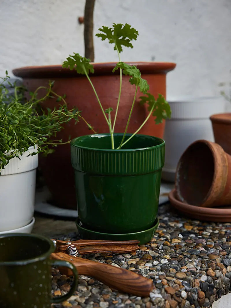 瑞典 sagaform Elise 花盆-三色 中型