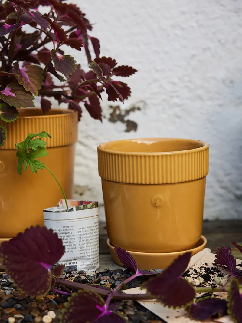 瑞典 sagaform Elise 花盆-三色 中型