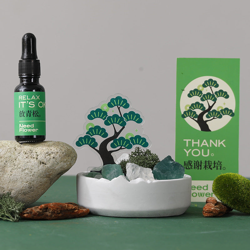 創意小物館 萬事青松香薰水晶擴香石禮盒