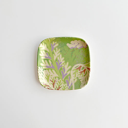 款式圖-長生鐵角蕨