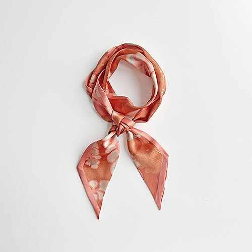 款式圖-圓葉鱗始蕨