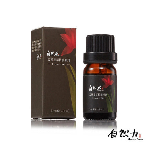 款式圖-洋甘菊