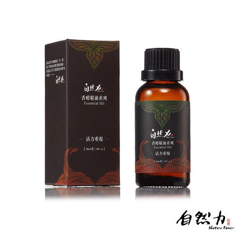 款式圖-活力重現