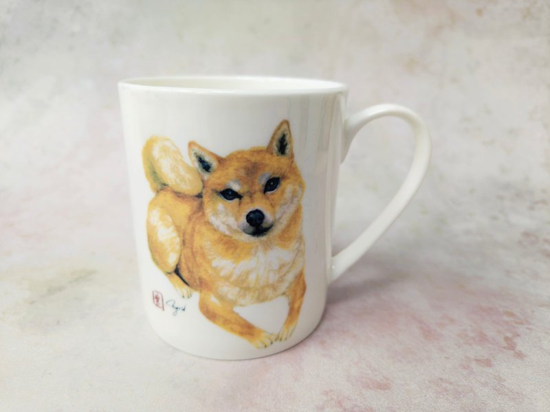 商品延伸圖