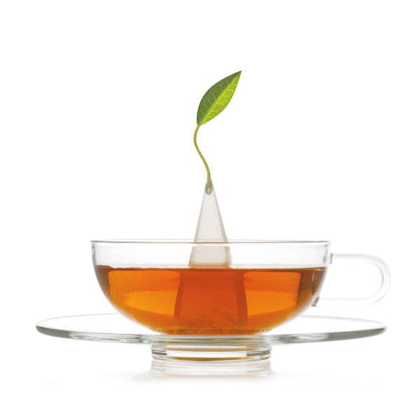 Sontu玻璃茶杯