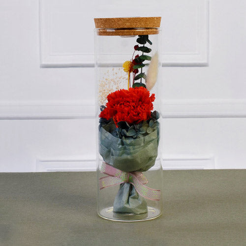 款式圖-紅色康乃馨