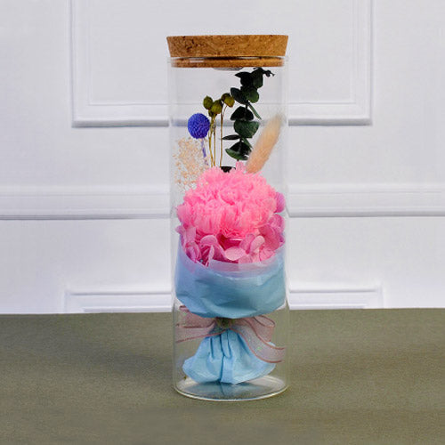 款式圖-粉色康乃馨