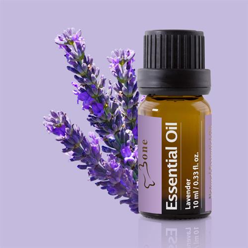 Bone Lavender 薰衣草精油 10ml
