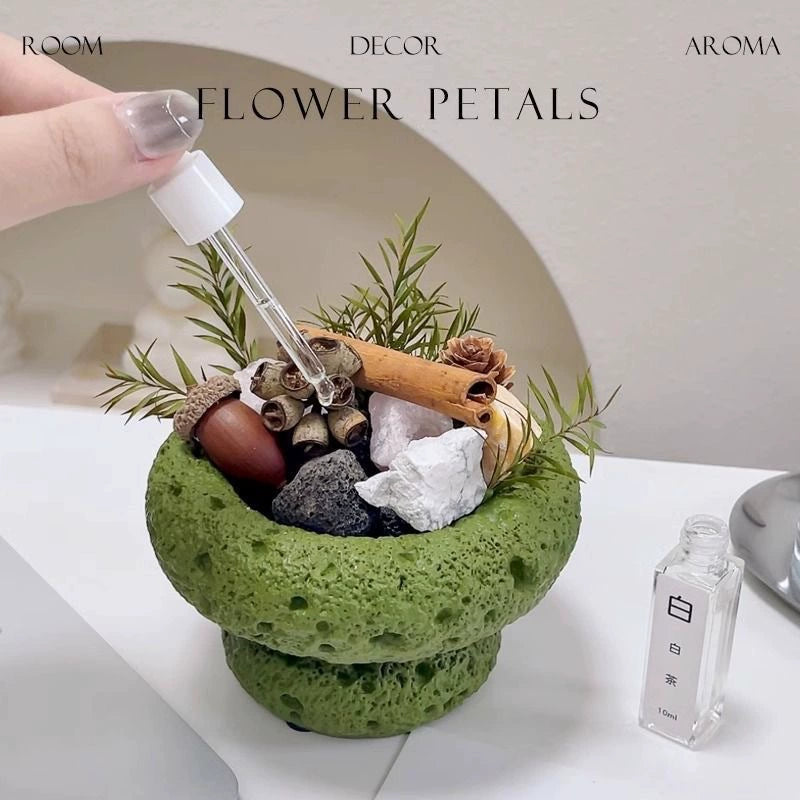 綠野仙蹤晶石植物套裝擴香石香氛禮盒