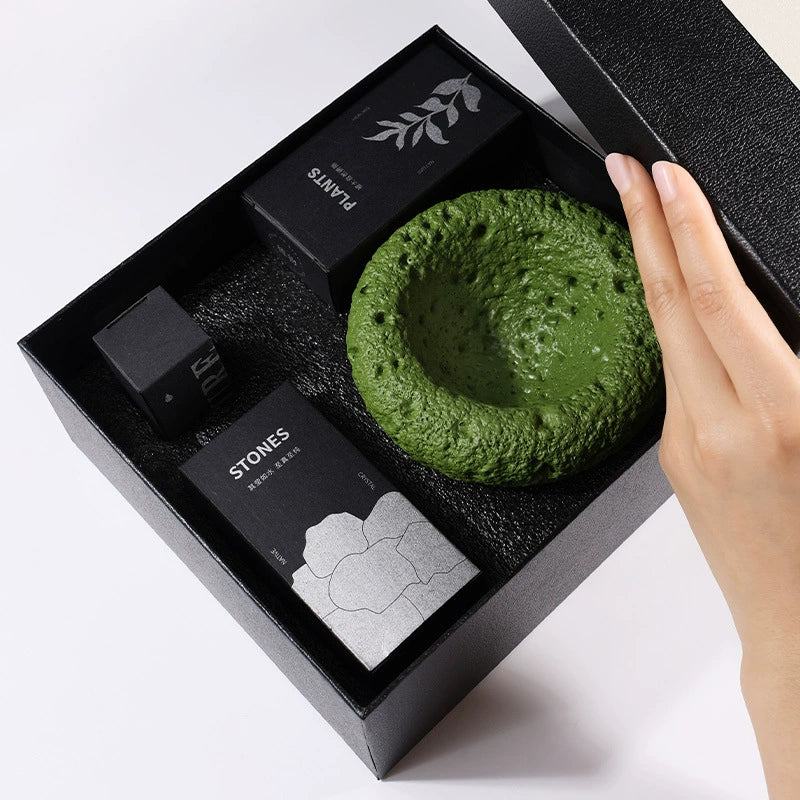 綠野仙蹤晶石植物套裝擴香石香氛禮盒