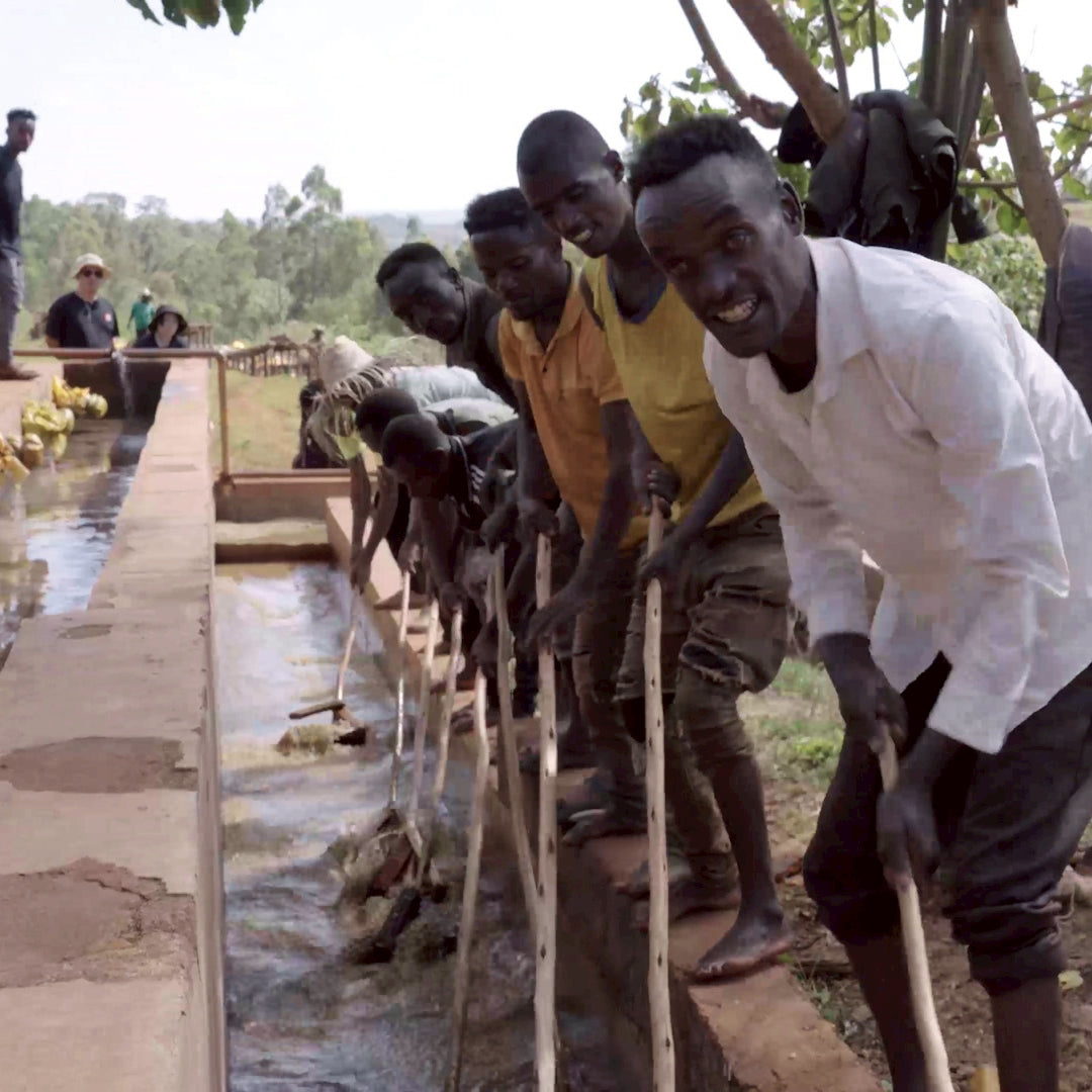 🐵 水洗露西藝伎  衣索比亞  班奇馬吉  水洗  頂級 G1 藝伎 (5公斤生豆 約可製成 4公斤熟豆）