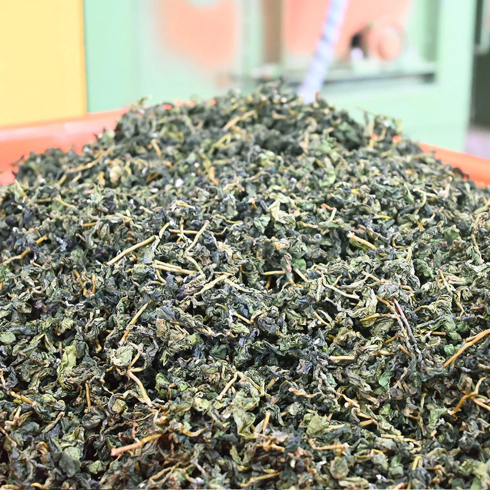 方菩提 阿里山樟樹湖高山烏龍春茶 半斤/一斤 附提袋